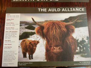 A lovely photo of a Highland Cow on the place setting.